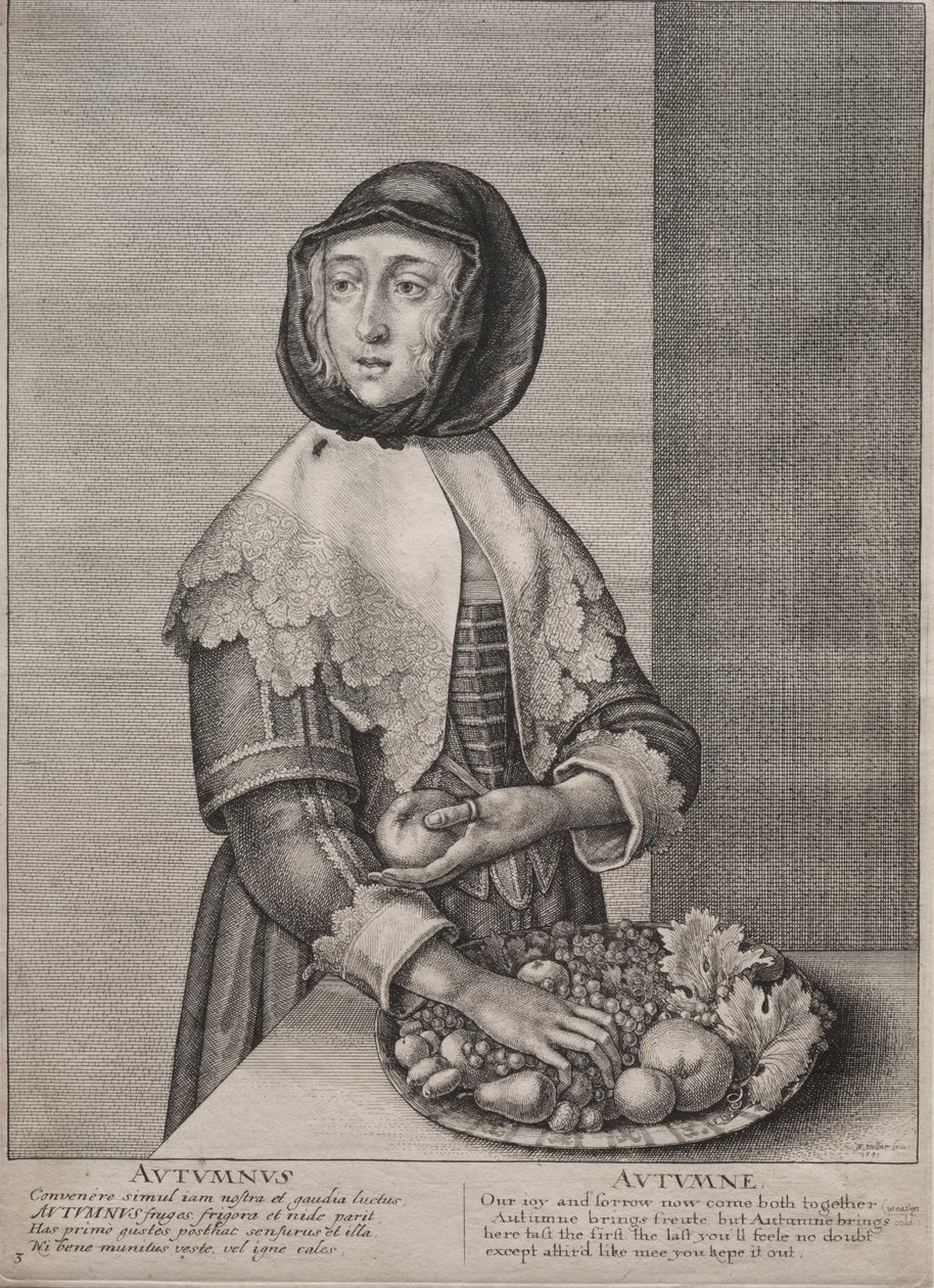 Čtvero ročních období: Podzim od Wenceslaus Hollar
