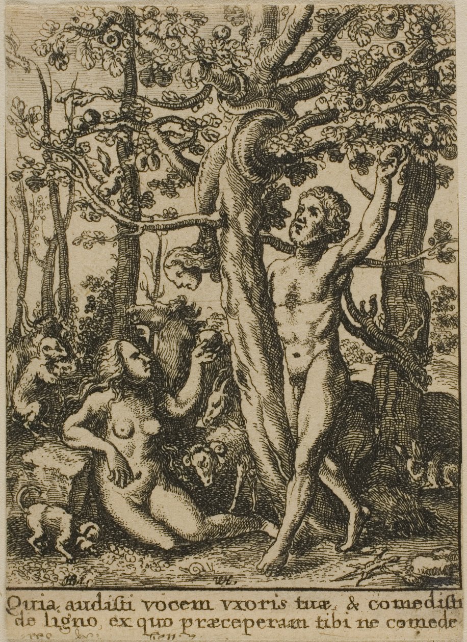 Rajská zahrada od Wenceslaus Hollar