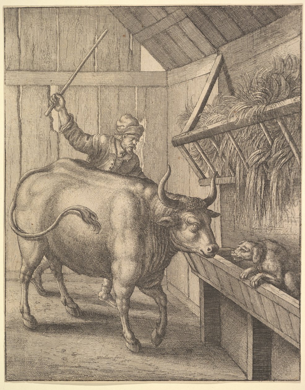 Pes v jeslích od ilustrace k Johnu Ogilbysovi Æsopics: Or A Second Collection..., 1666. od Wenceslaus Hollar