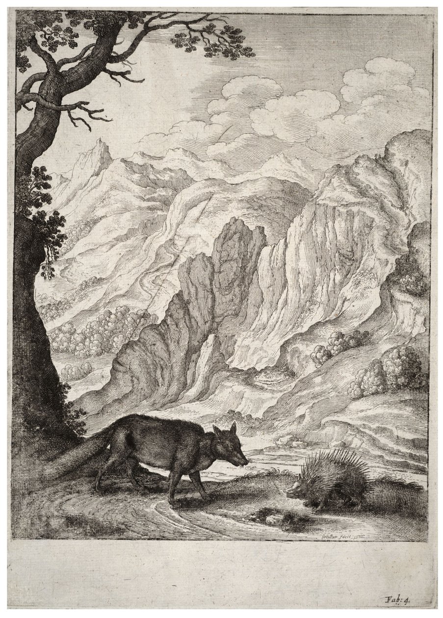 Liška a dikobraz. stát 2 od Wenceslaus Hollar