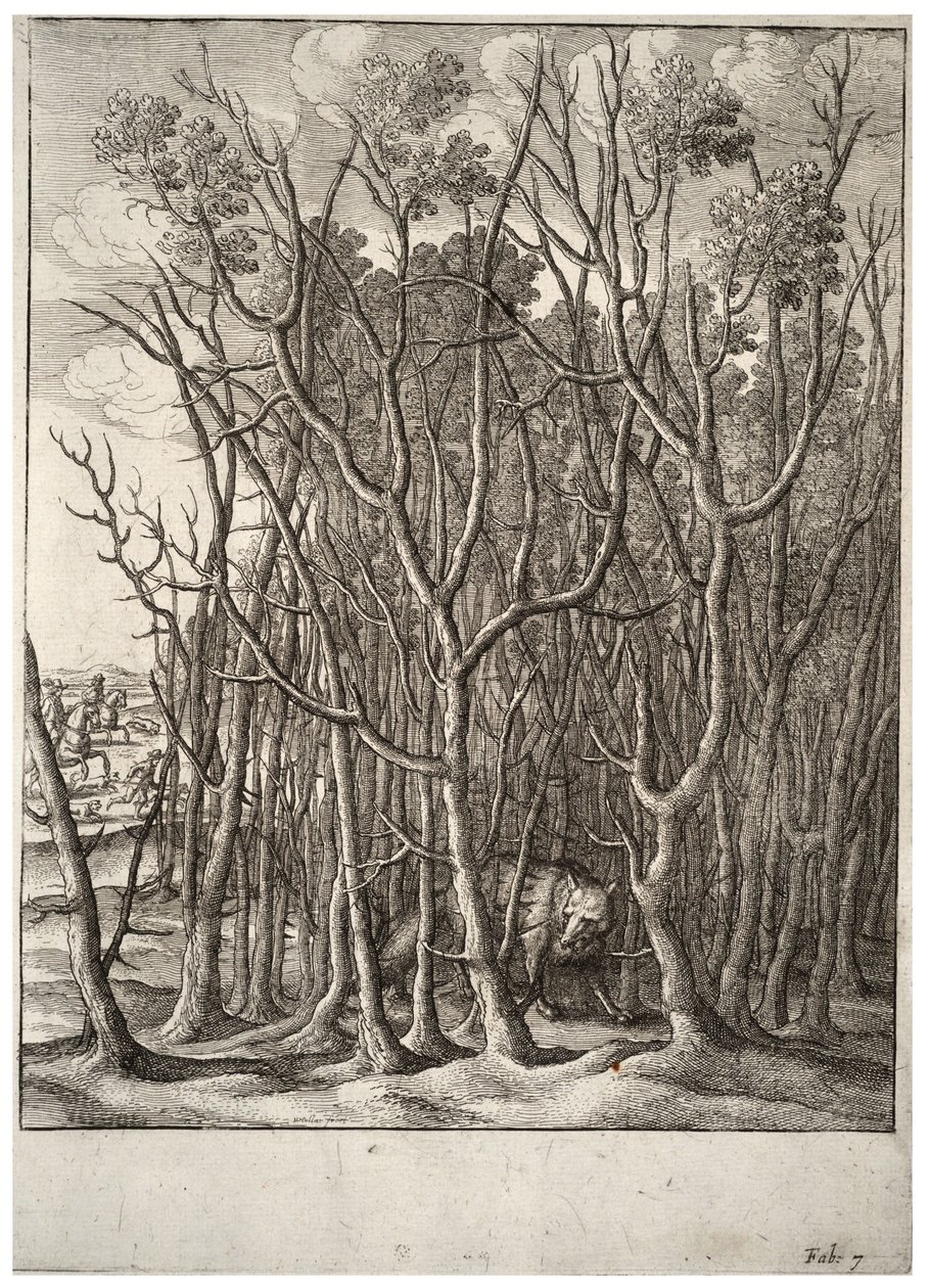 Liška a trnitý keř. stát 2 od Wenceslaus Hollar