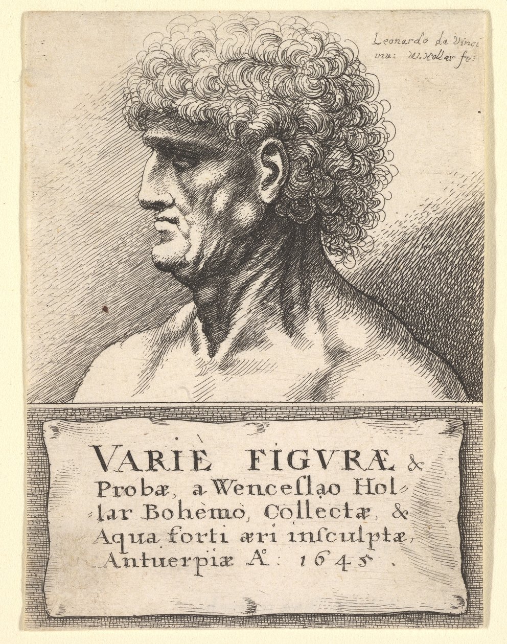 Titulní strana k Variety of Figures & Probes, 1645 od Wenceslaus Hollar