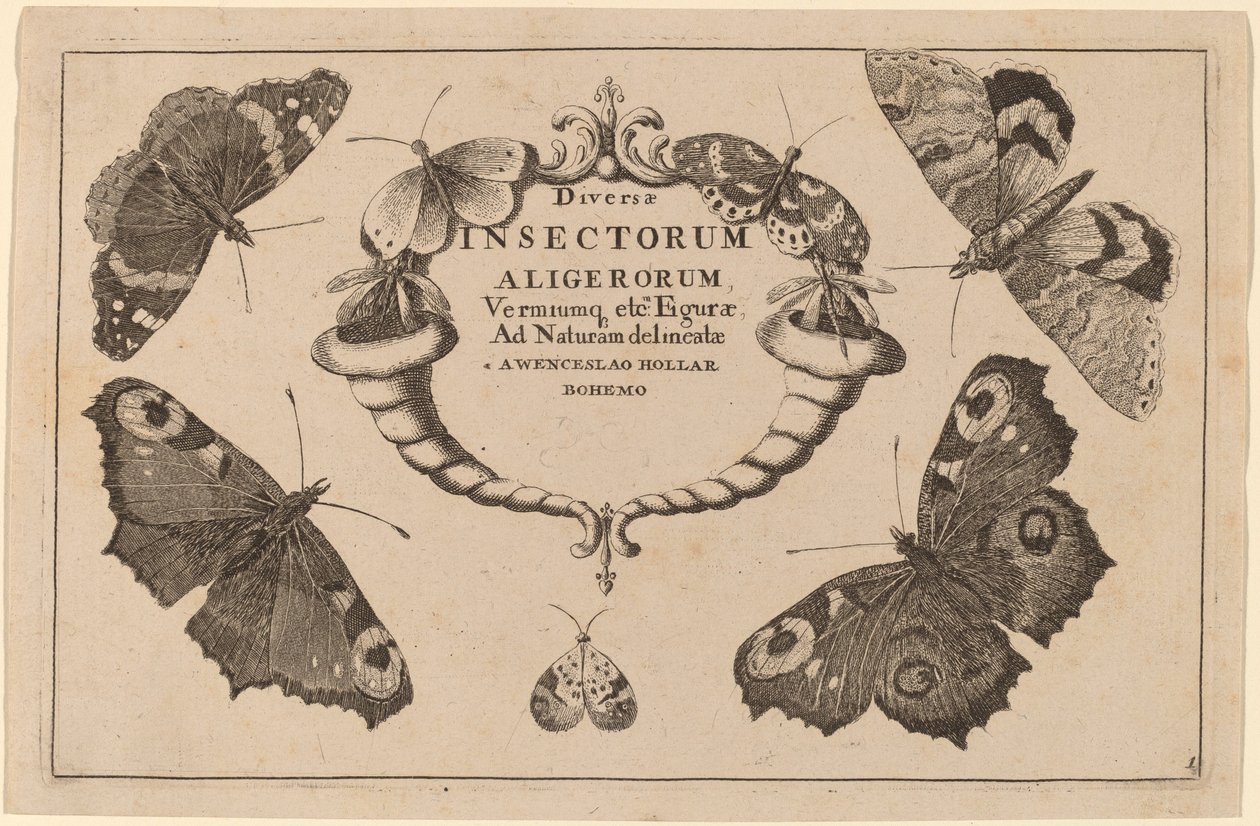Titulní strana od Wenceslaus Hollar