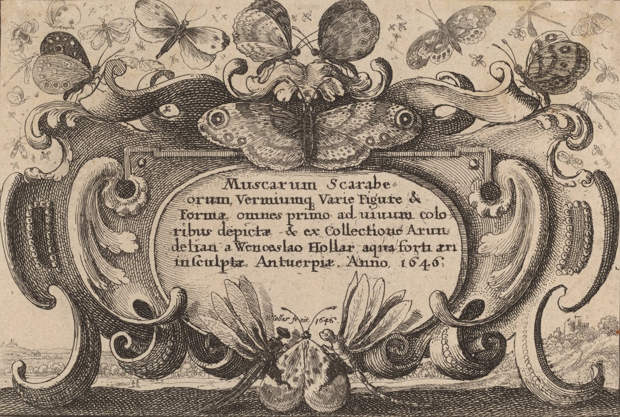 Titulní strana, 1646. od Wenceslaus Hollar