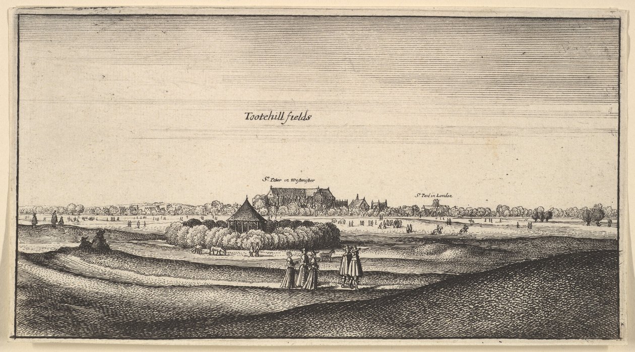 Tootehill Fields... Prospekt, 1625-77 od Wenceslaus Hollar
