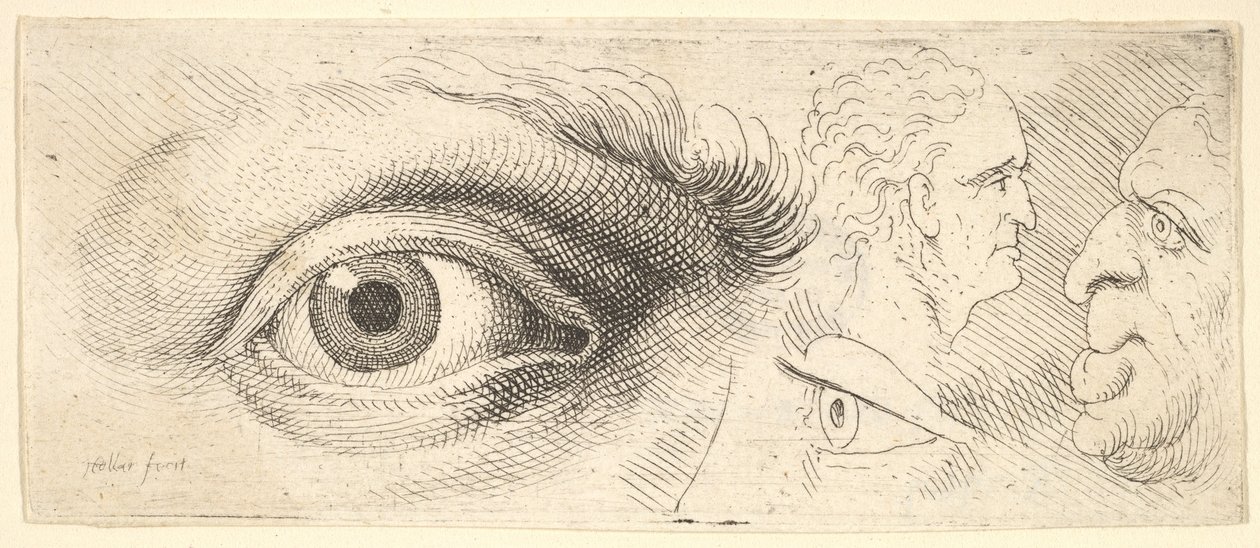 Dvě oči a dvě hlavy, 1644-52. od Wenceslaus Hollar