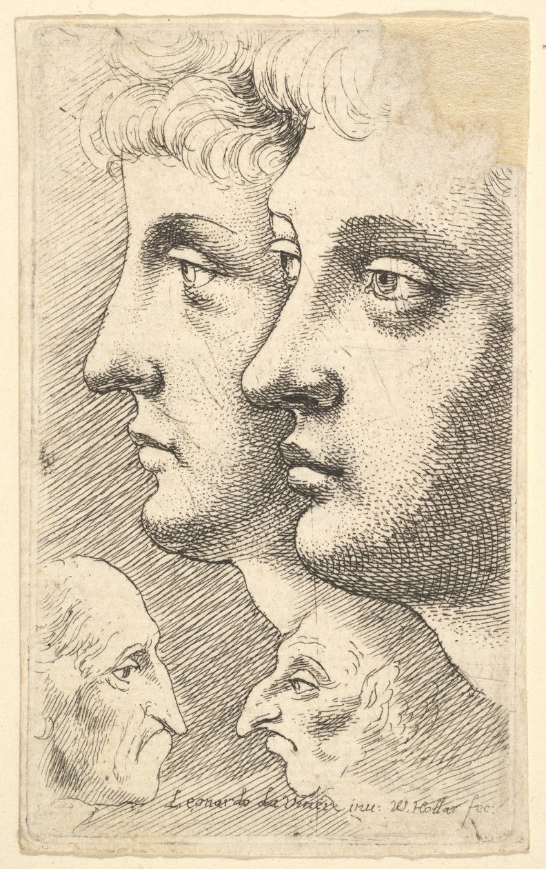 Dva mladíci z profilu vlevo se dvěma groteskními hlavami proti sobě, 1625-77. od Wenceslaus Hollar