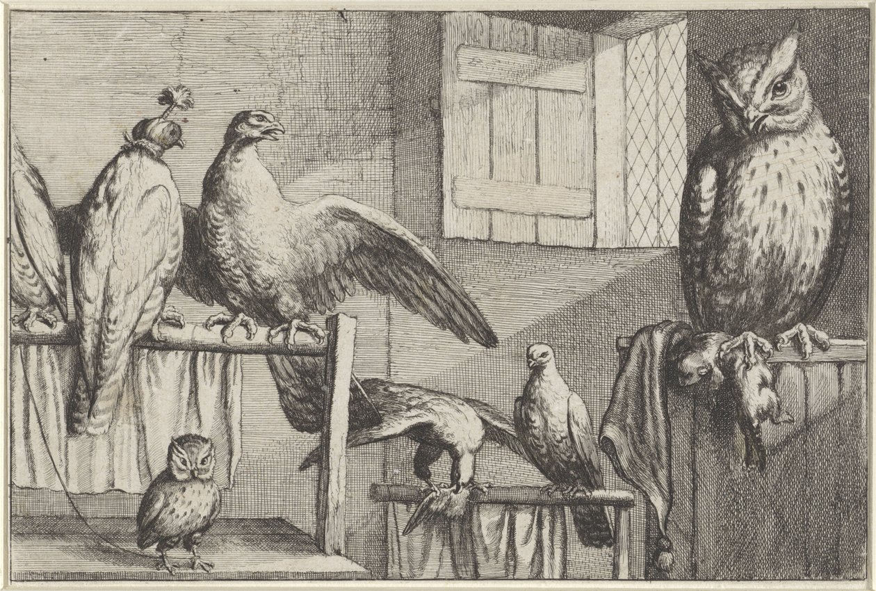 Sokoli a sovy ve stodole Druh Diversae avium (název série) Různí ptáci (název série) od Wenceslaus Hollar
