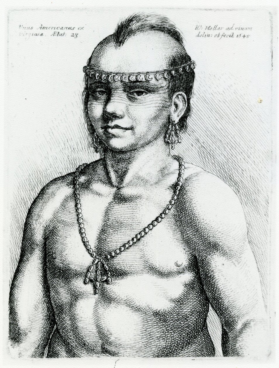 Virginský Indián, 1645 od Wenceslaus Hollar
