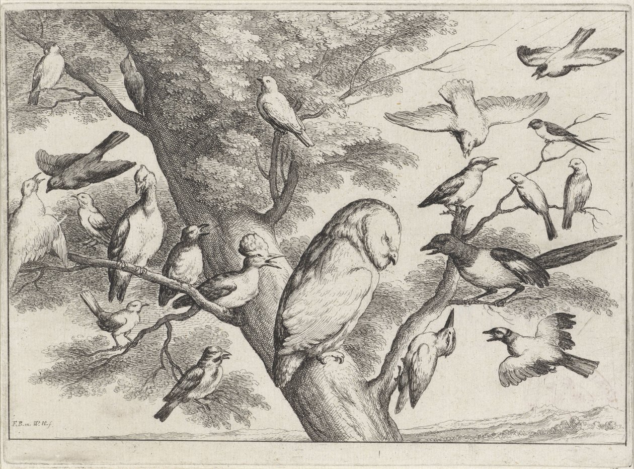 Ptáci na stromě Různí ptáci (název série) od Wenceslaus Hollar