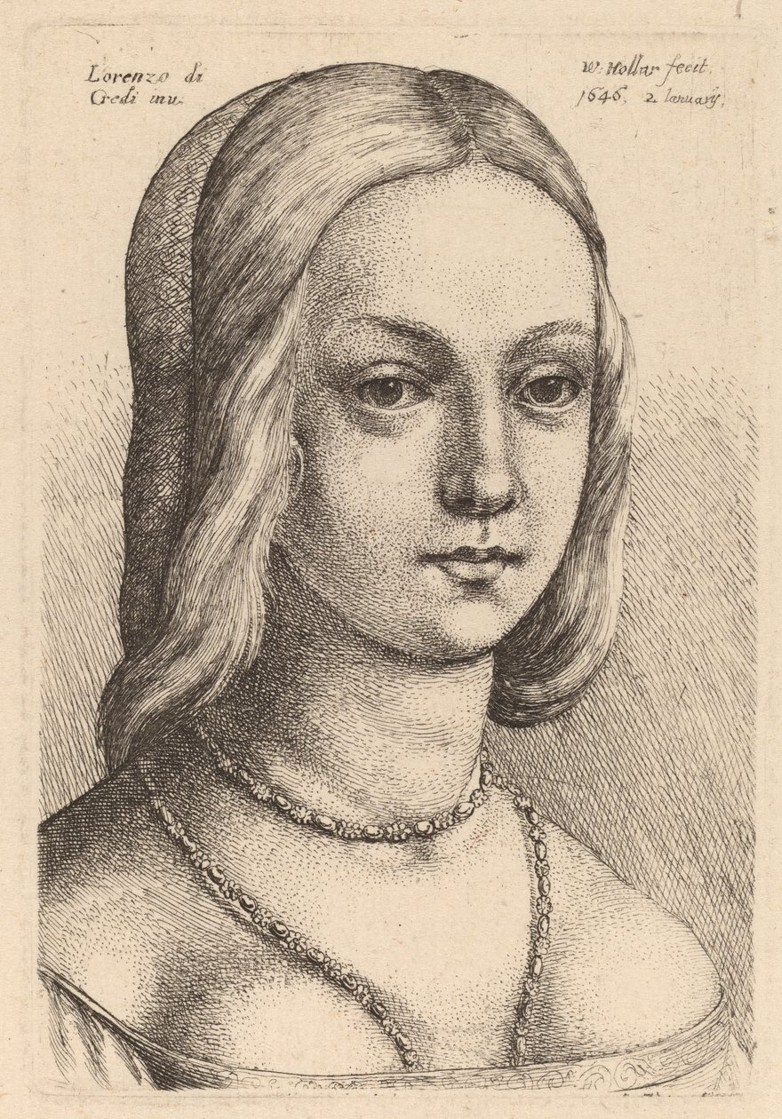 Hlava ženy hledá správně od Wenceslaus Hollar after Lorenzo di Credi