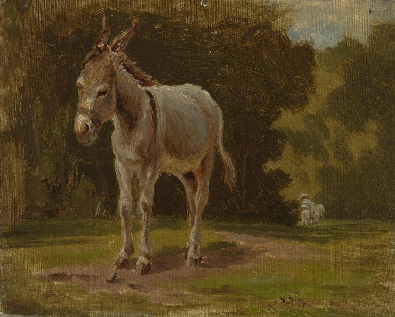 Osel od Werner Holmberg