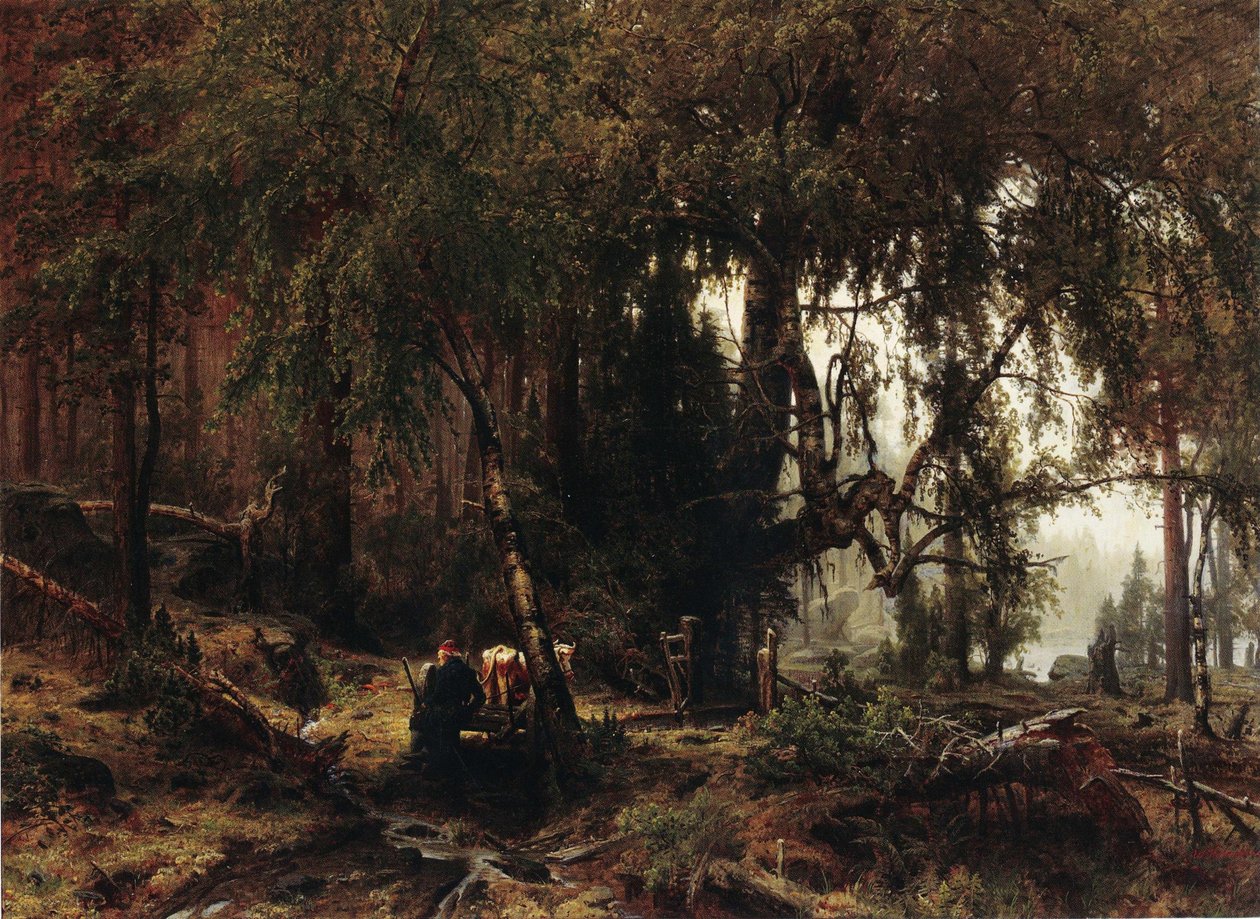 Les v dešti od Werner Holmberg
