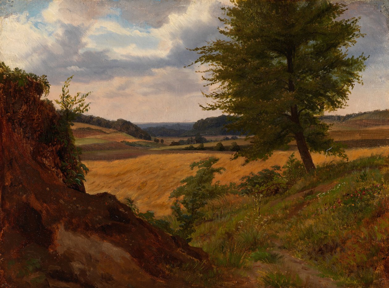 Strom v polní krajině, studie od Werner Holmberg