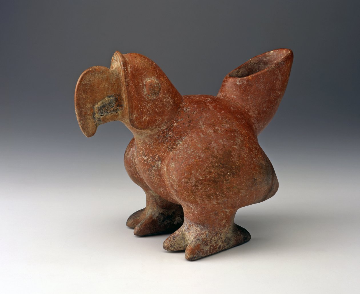 Parrot Effigy Vessel, cca 200 př. n. l. - 300 n. l. (keramika s červenou barvou) od West Mexican