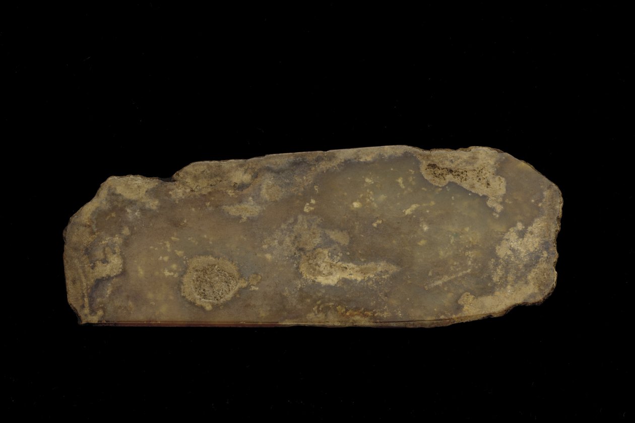 Fragment ceremoniální zbraně (nefrit (nefrit)) od Western Zhou Dynasty Chinese School