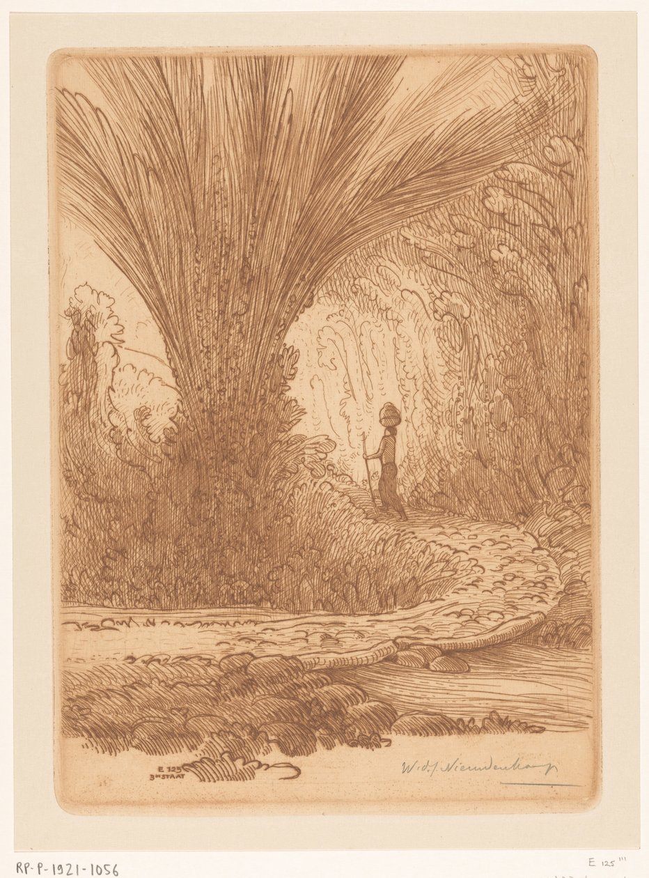 Zarostlé hory na Bali V horách (původní název) od Wijnand Otto Jan Nieuwenkamp (signed by artist)