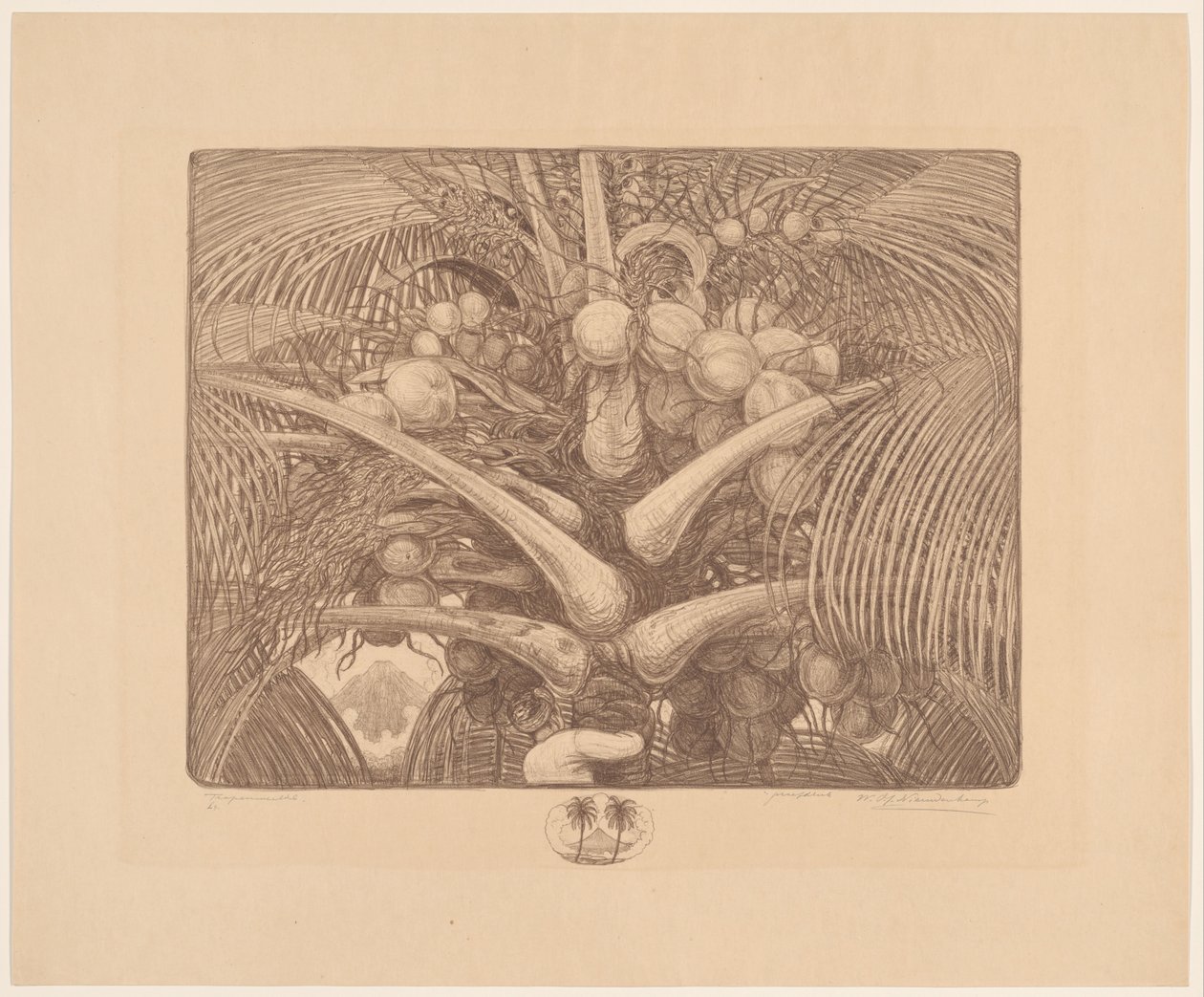 Vrchol kokosové palmy Tropenweelde (původní název na objektu) od Wijnand Otto Jan Nieuwenkamp (signed by artist)