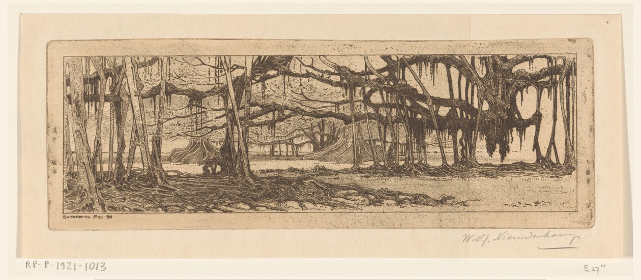 Waringin stromy v zahradě v Buitenzorg V zahradě v Buitenzorg (původní název) od Wijnand Otto Jan Nieuwenkamp (signed by artist)
