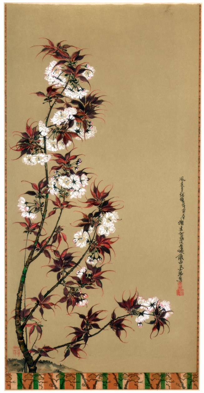 Cherry Blossoms of Mikawa, 19. století 1886 od Wilhelm Greve