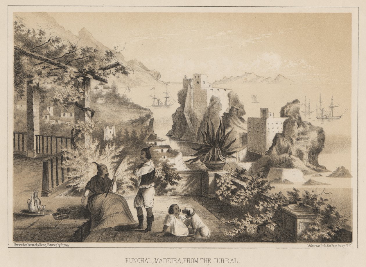 Funchal, Madeira, od Curralu, 1885 od Wilhelm Joseph Heine