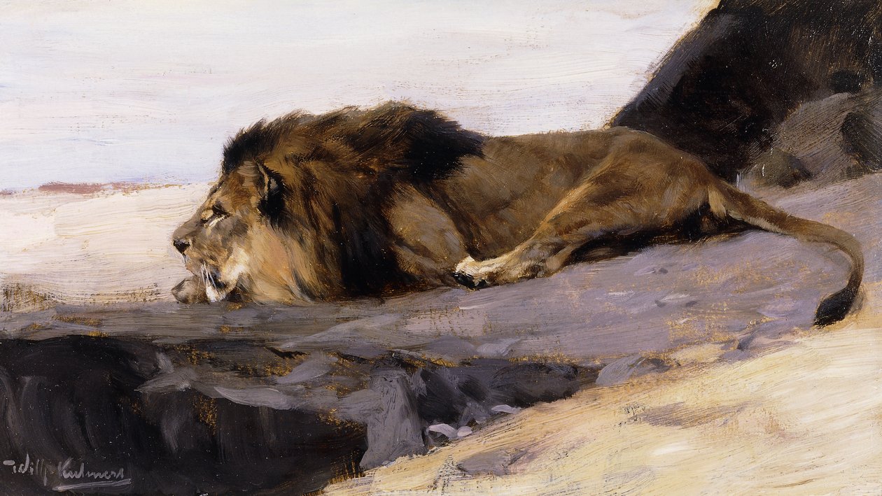 Odpočívající lev; Ruhender Lowe, od Wilhelm Kuhnert