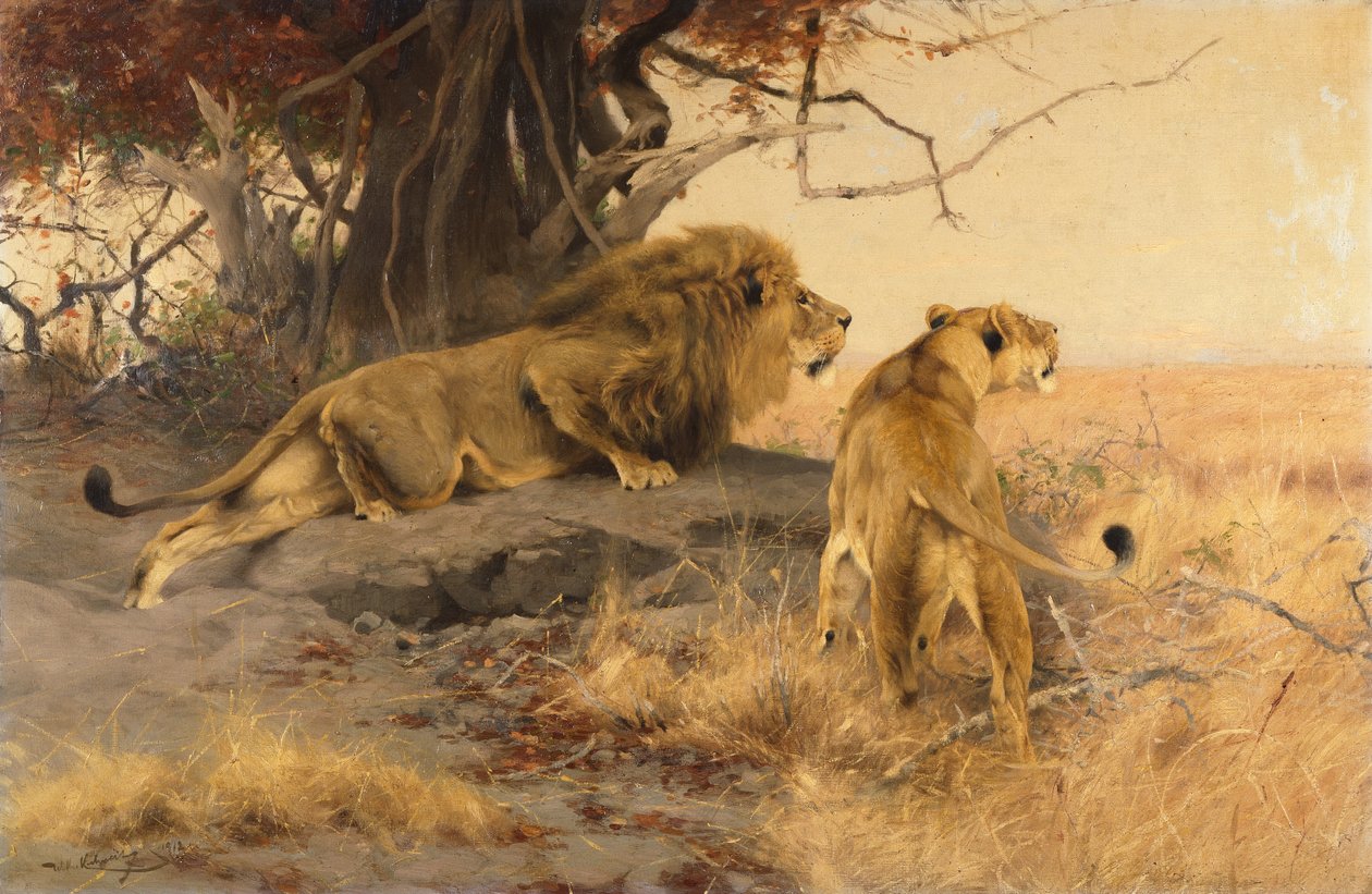 Lev a lvice v Savannah od Wilhelm Kuhnert