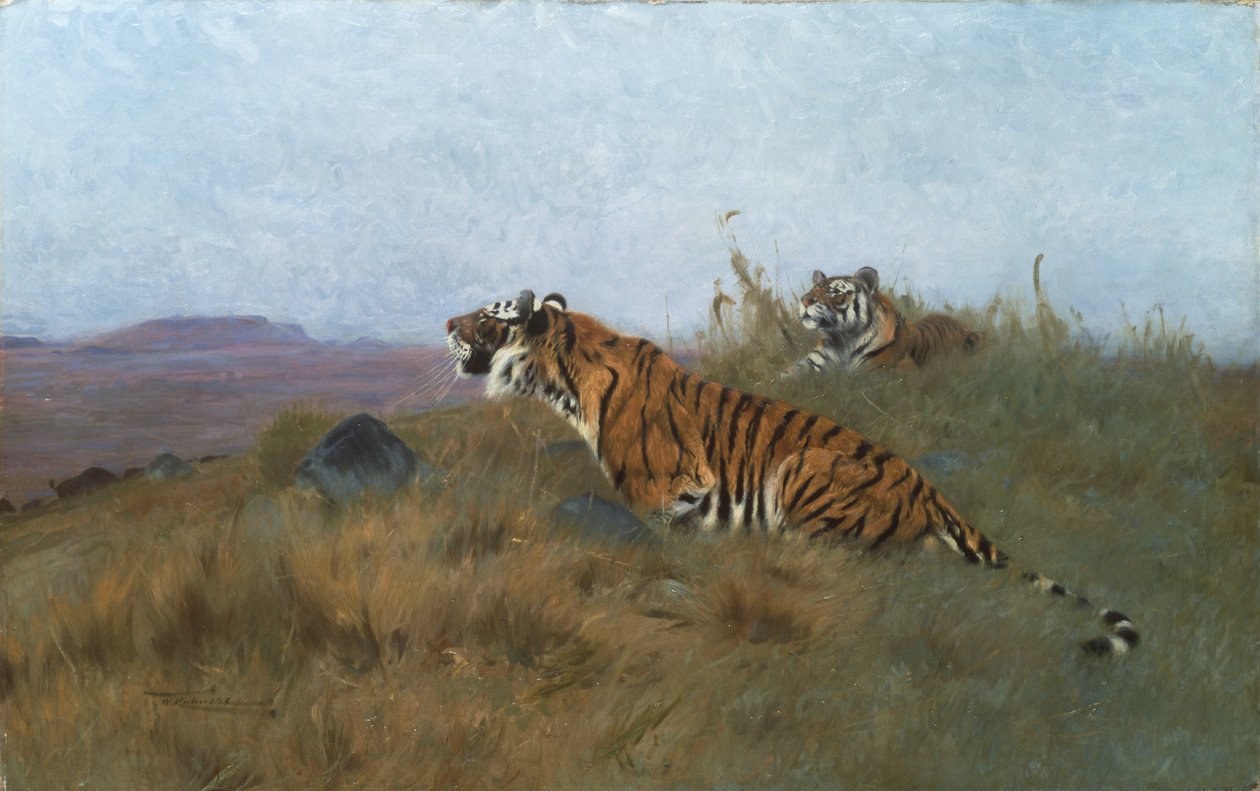 Tygři pronásledují svou kořist (malba) od Wilhelm Kuhnert