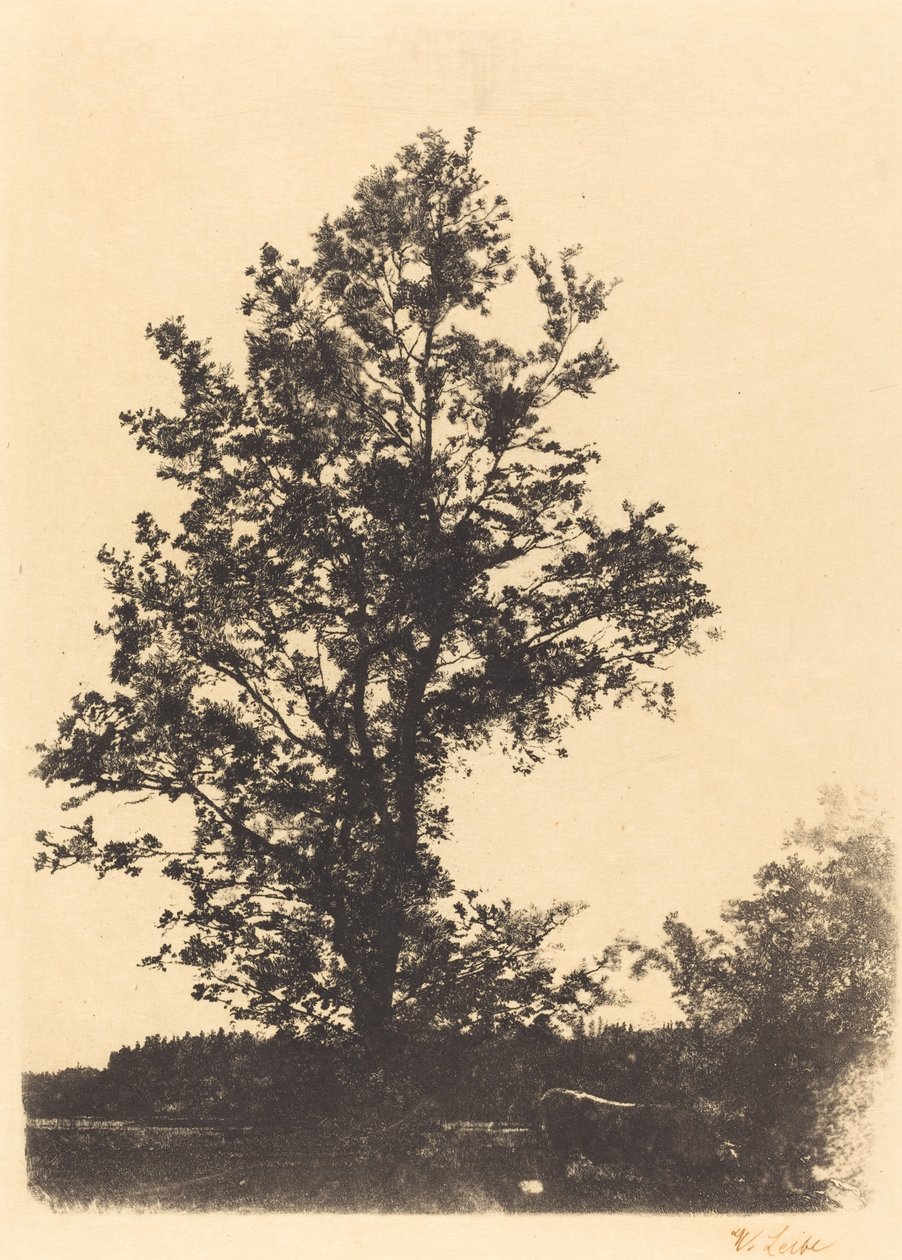 Velký strom od Wilhelm Maria Hubertus Leibl