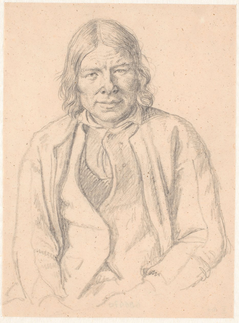 Busta švédského farmáře od Wilhelm Marstrand