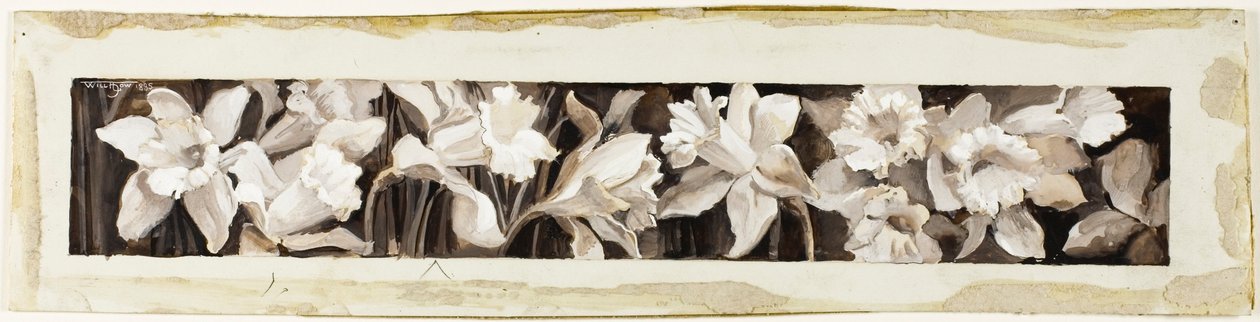 Dekorace - narcisy od Will Hicock Low