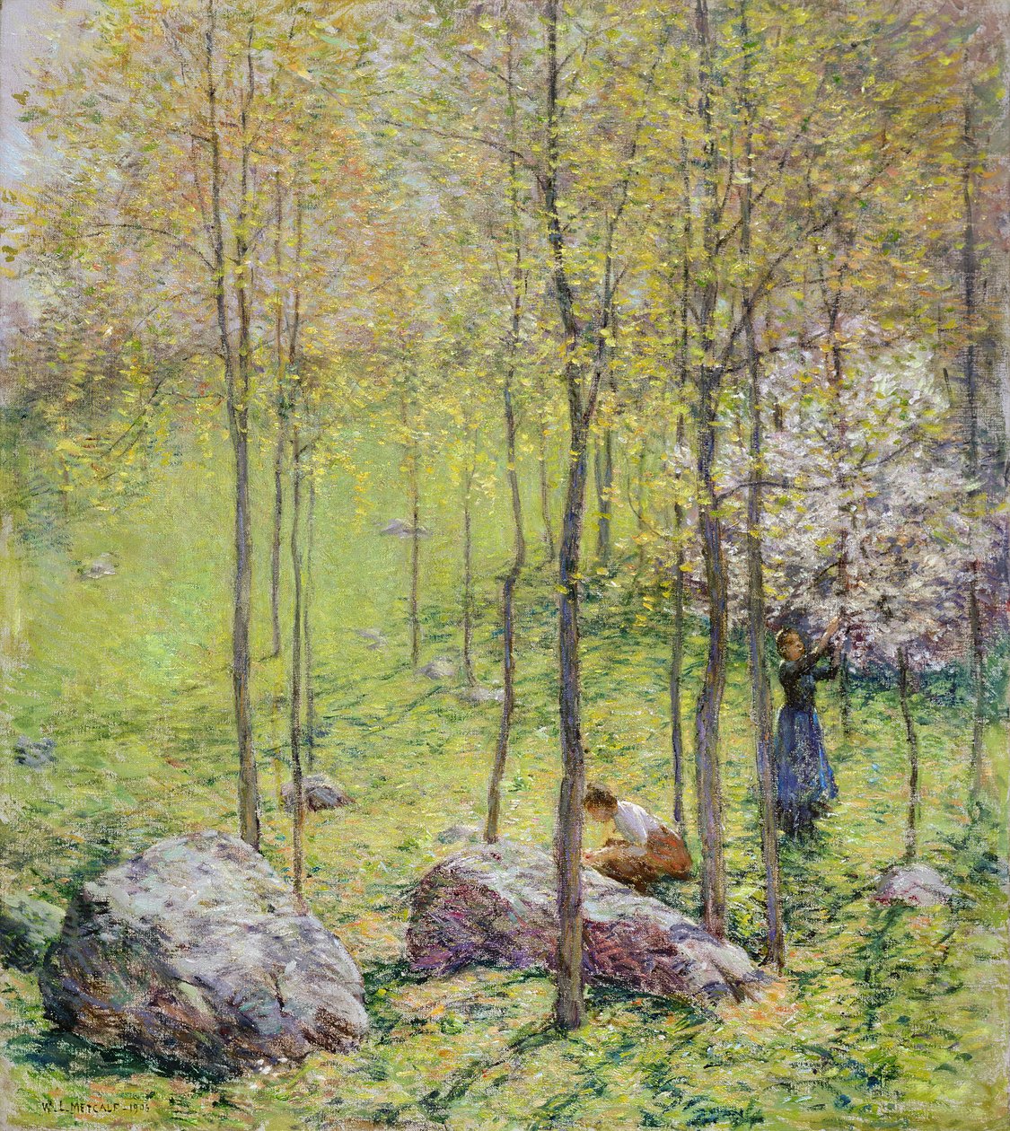 Dřínový květ, 1906 od Willard Leroy Metcalf