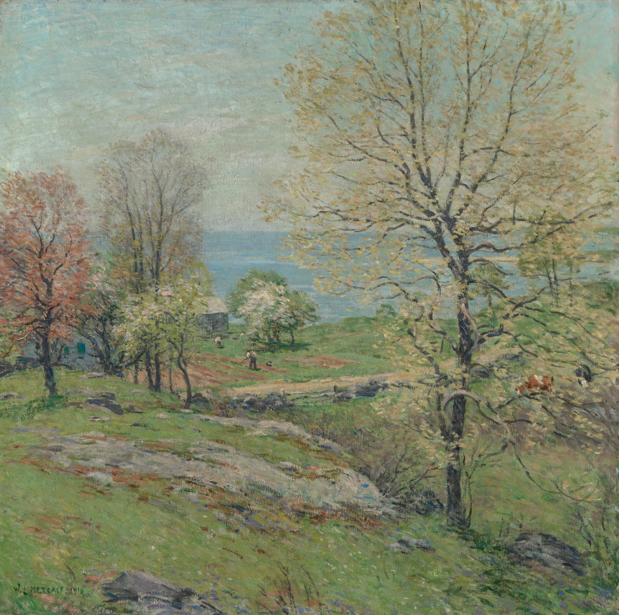 Pučící dub, 1916. od Willard Leroy Metcalf