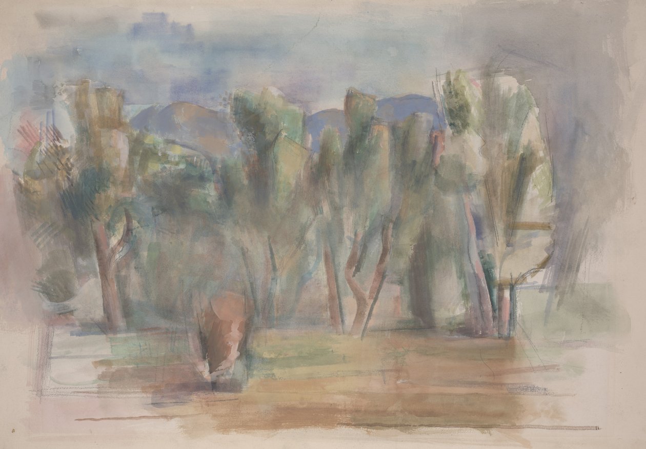 Studie (akvarel na papíře) od Willard Nash