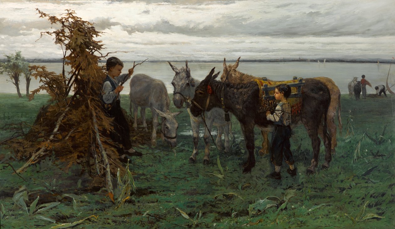 Chlapci pasoucí osly od Willem Maris