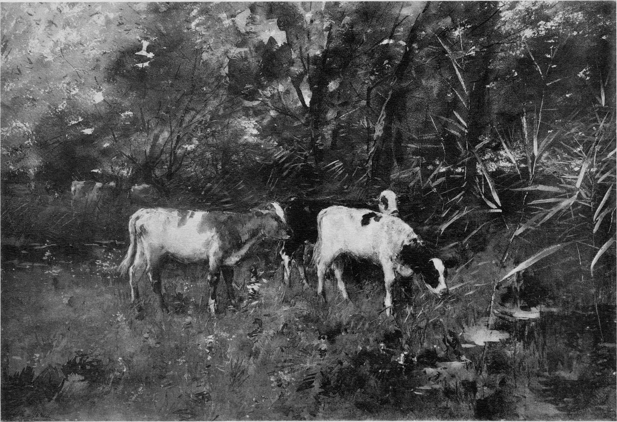 Krávy od Willem Maris