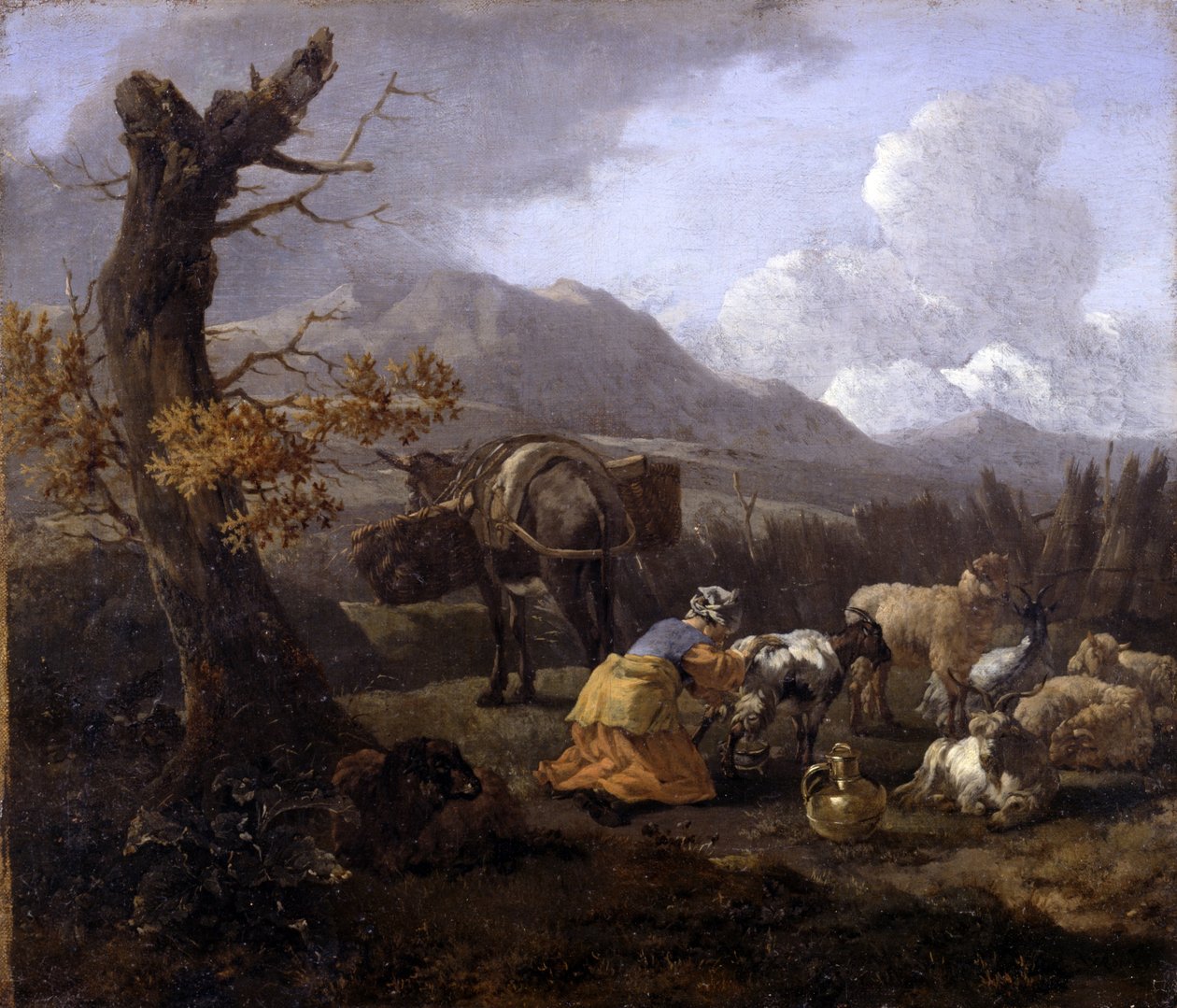 Krajina od Willem Romeyn