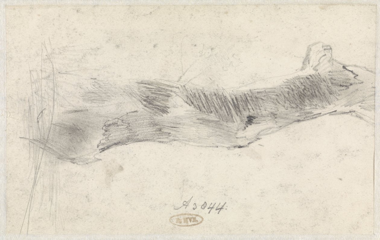 Studie stromu od Willem Anthonie van Deventer