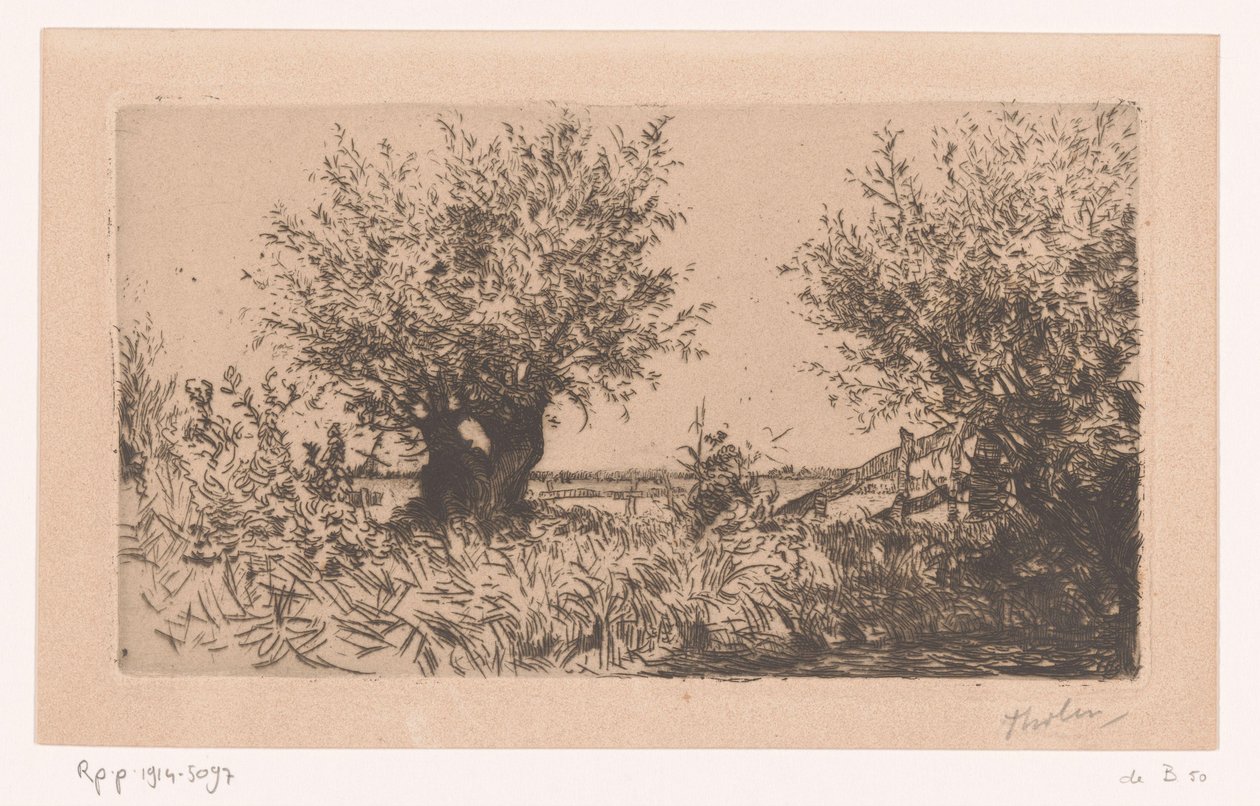 Krajina s loukou, polard vrbami a plotem Willows (Kaag) (původní název) od Willem Bastiaan Tholen (signed by artist)