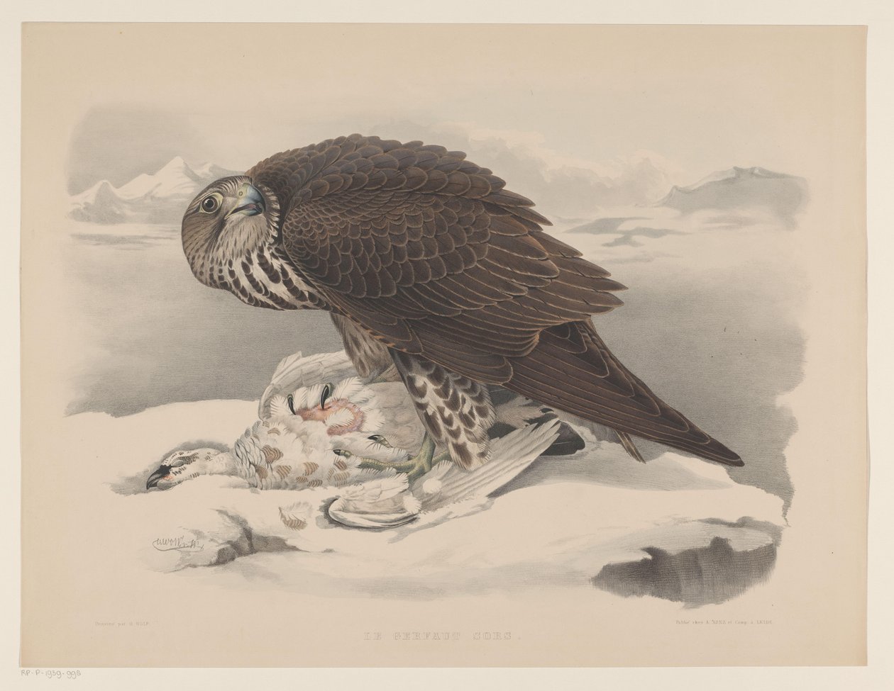 Gyrfalcon s ptarmiganem Le gerfaut sors (název na objektu) od Willem Bastiaan van Wouw