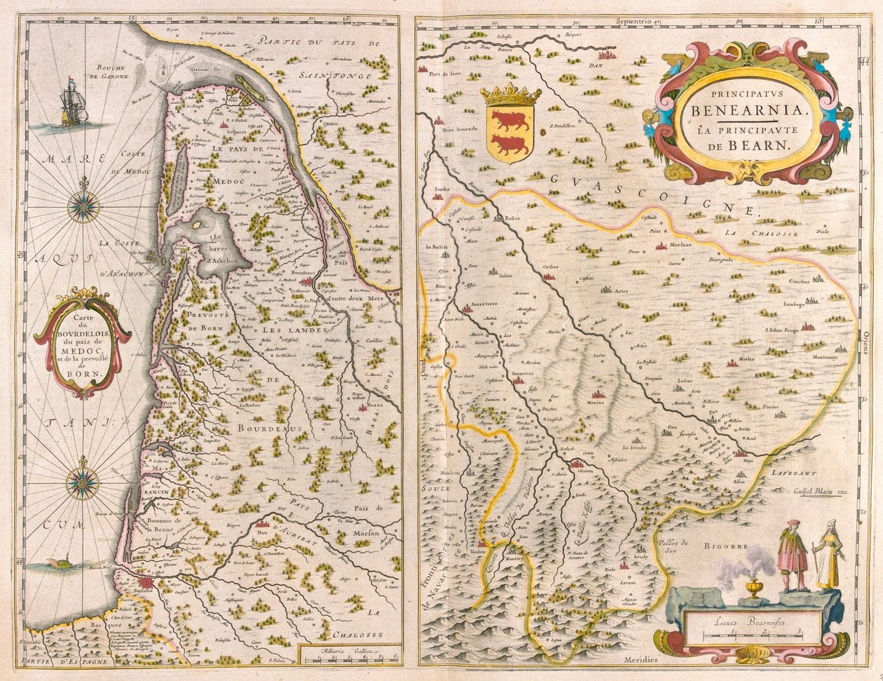 Bordelais-Pays du Médoc - Born- Aquitaine- West coast of France, in 