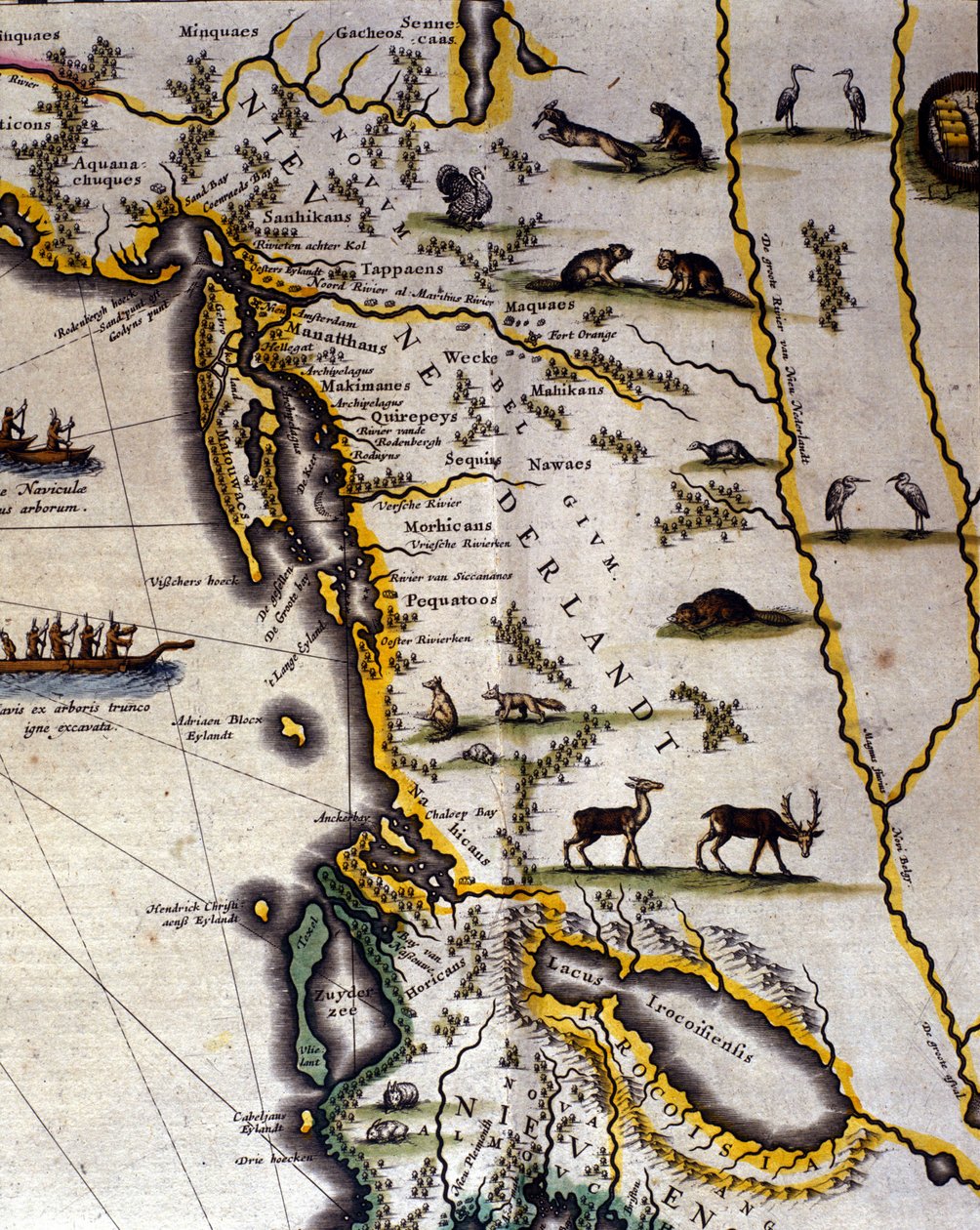 Zeměpisná mapa holandského atlasu ze 17. století od Wilhelma Blaeua (1571-1638) zobrazující americká a kanadská území s kožešinovými zvířaty. Sever je podle středověkého zvyku dole. od Willem Blaeu