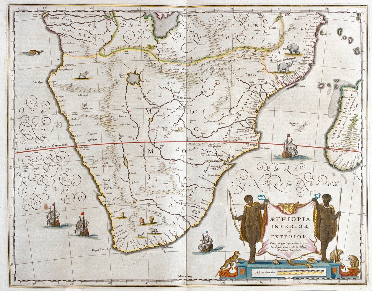 Jižní Afrika, in 