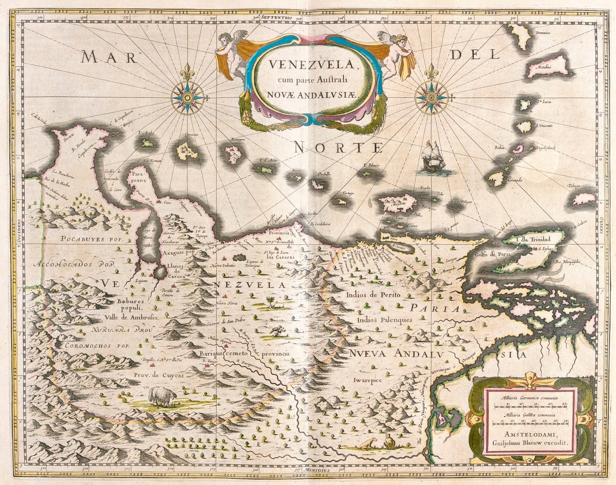Venezuela, Trinidad, Tobago, Tortuga, Antily , Karibik, v "Theatrum Orbis Terrarum, sive Atlas Novus", Willem Blaeu, Amsterdam od Willem Blaeu