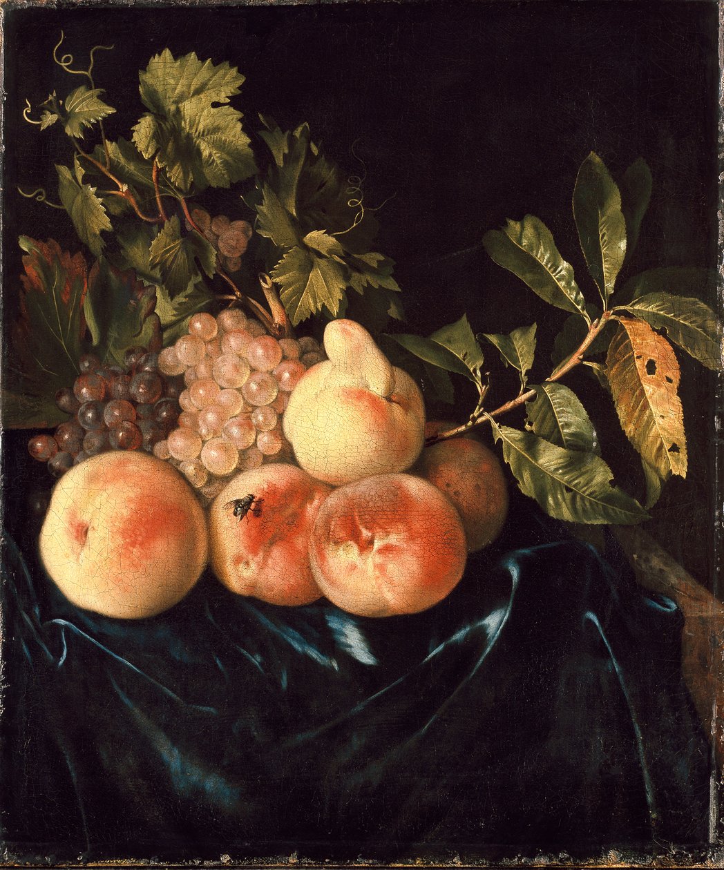 Zátiší broskví a hroznů, 1705 od Willem Frederiksz van Royen