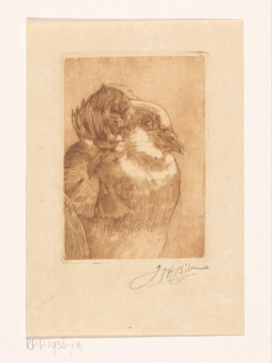 Studie holuba od Willem Hendrik Bik (signed by artist)