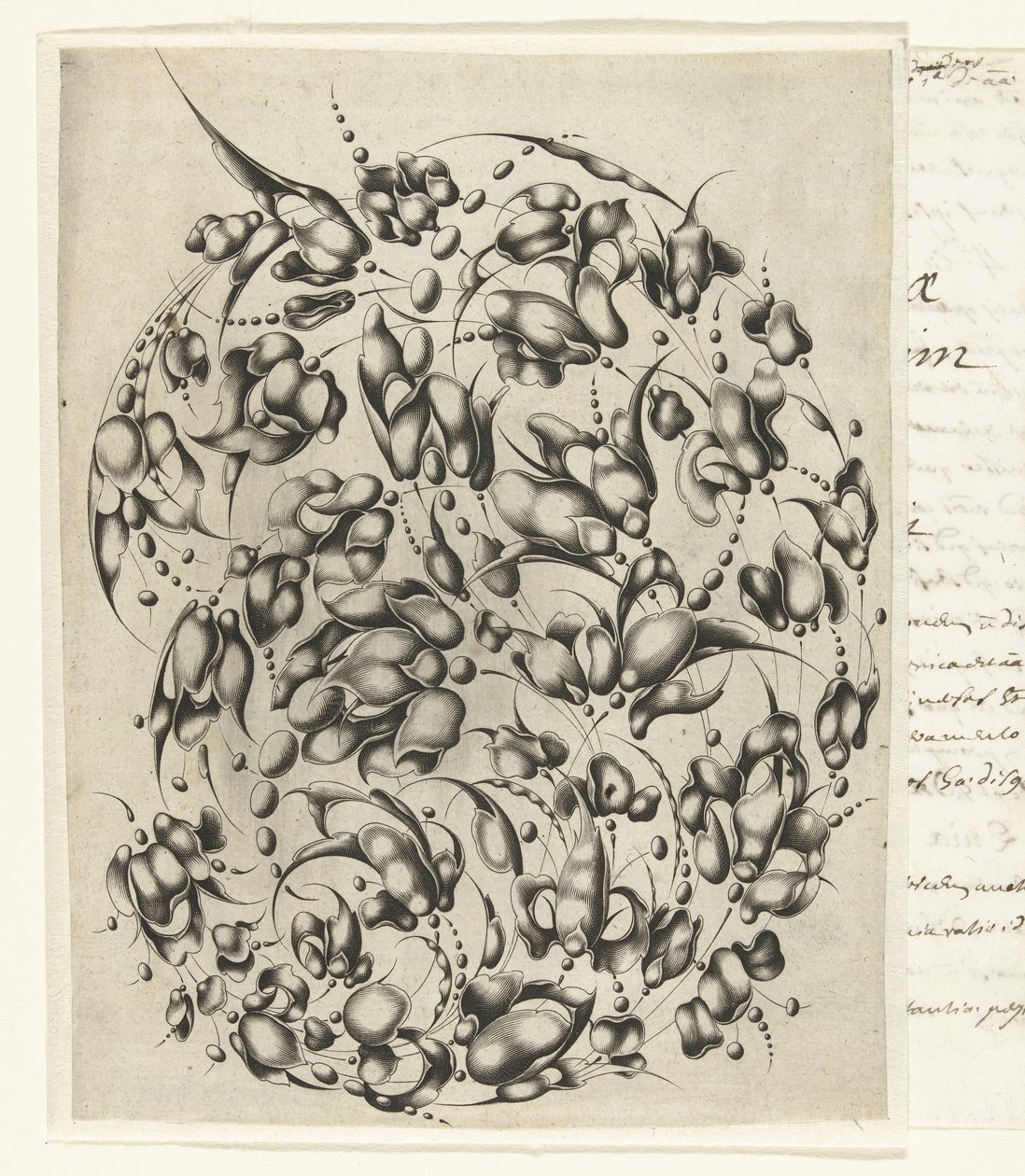 Zlatnická kytice se stylizovanými květy a listy Looff-werck Boeck Seer Constich Geteijckent (název série) od Willem Hondius