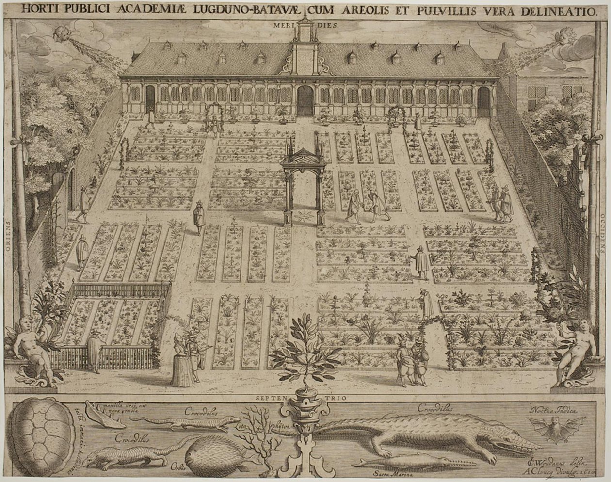 Botanická zahrada v Leydenu od Willem Isaaksz Swanenburgh