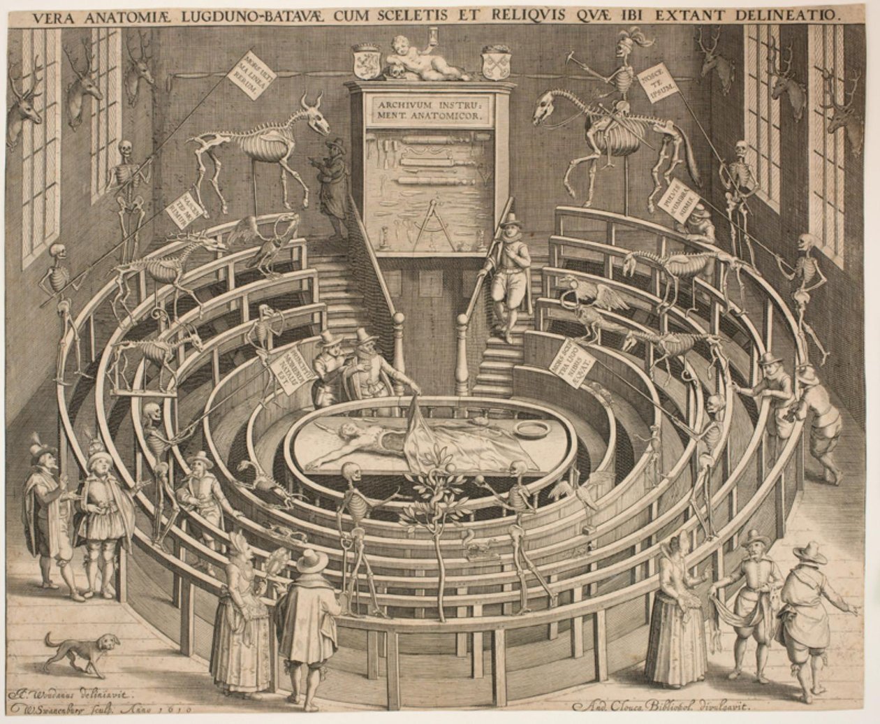 Sál anatomického divadla v Leydenu od Willem Isaaksz Swanenburgh