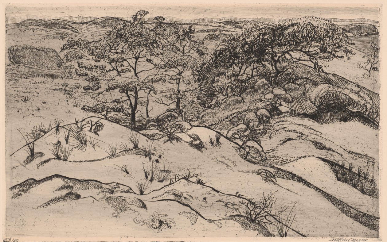dunová krajina od Willem Jansen (graveur) (signed by artist)